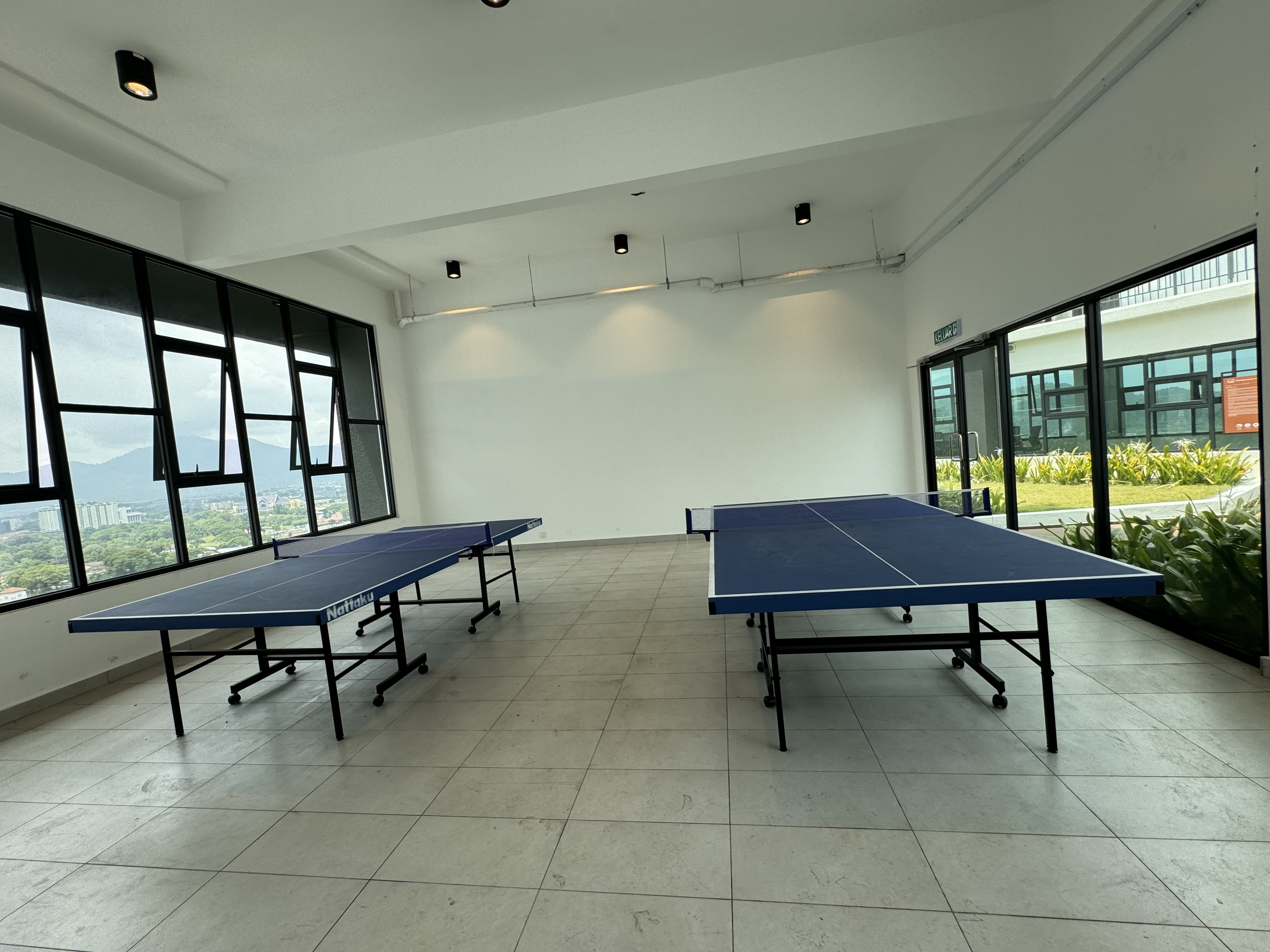 Ping Pong Room